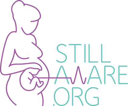 Butterfly Series - Promoting awareness of babies born still - ShartrueseWall Plaque