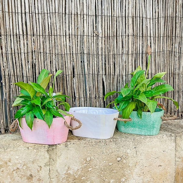 Decorative Washed Wood Planter - Shartruese