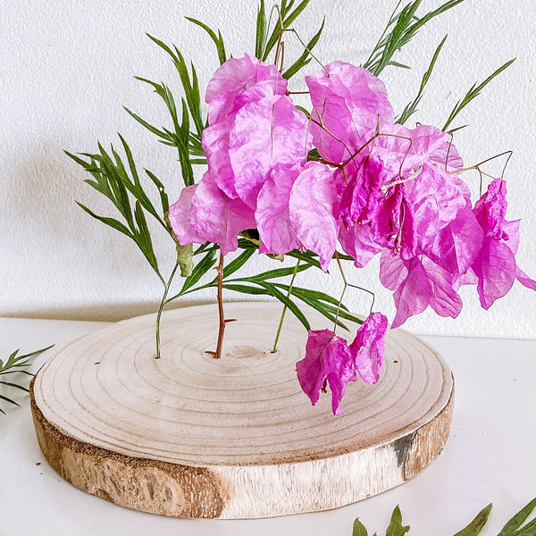 Paulownia Flower Stand - Shartruese