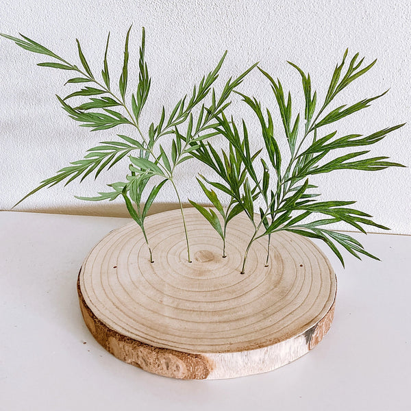 Paulownia Flower Stand - Shartruese