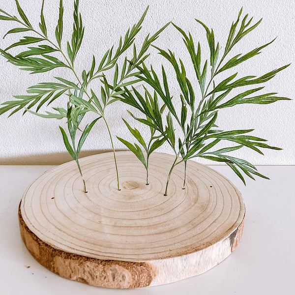 Paulownia Flower Stand - Shartruese