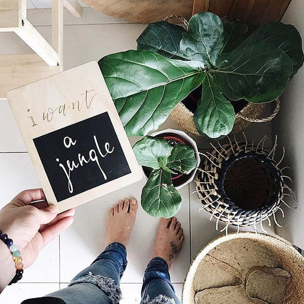 Validation Cards - ShartrueseValidation Cards