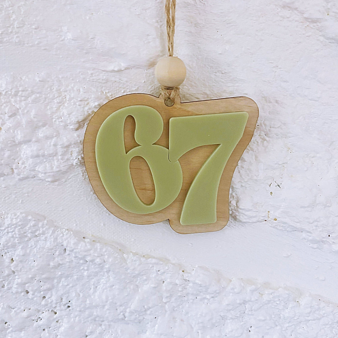 67 Ornament - ShartrueseChristmas Ornament