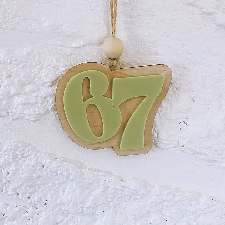 67 Ornament - ShartrueseChristmas Ornament