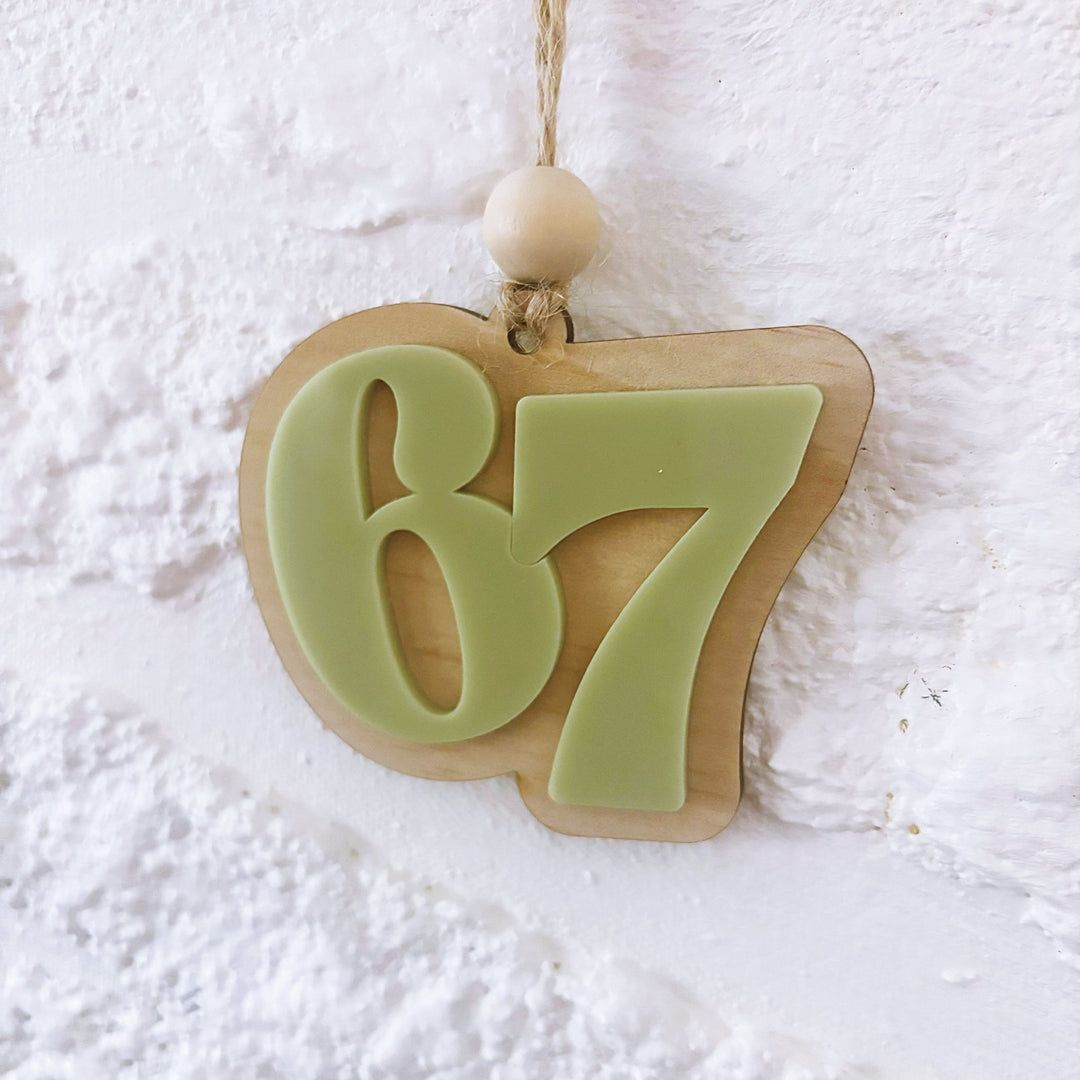 67 Ornament - ShartrueseChristmas Ornament