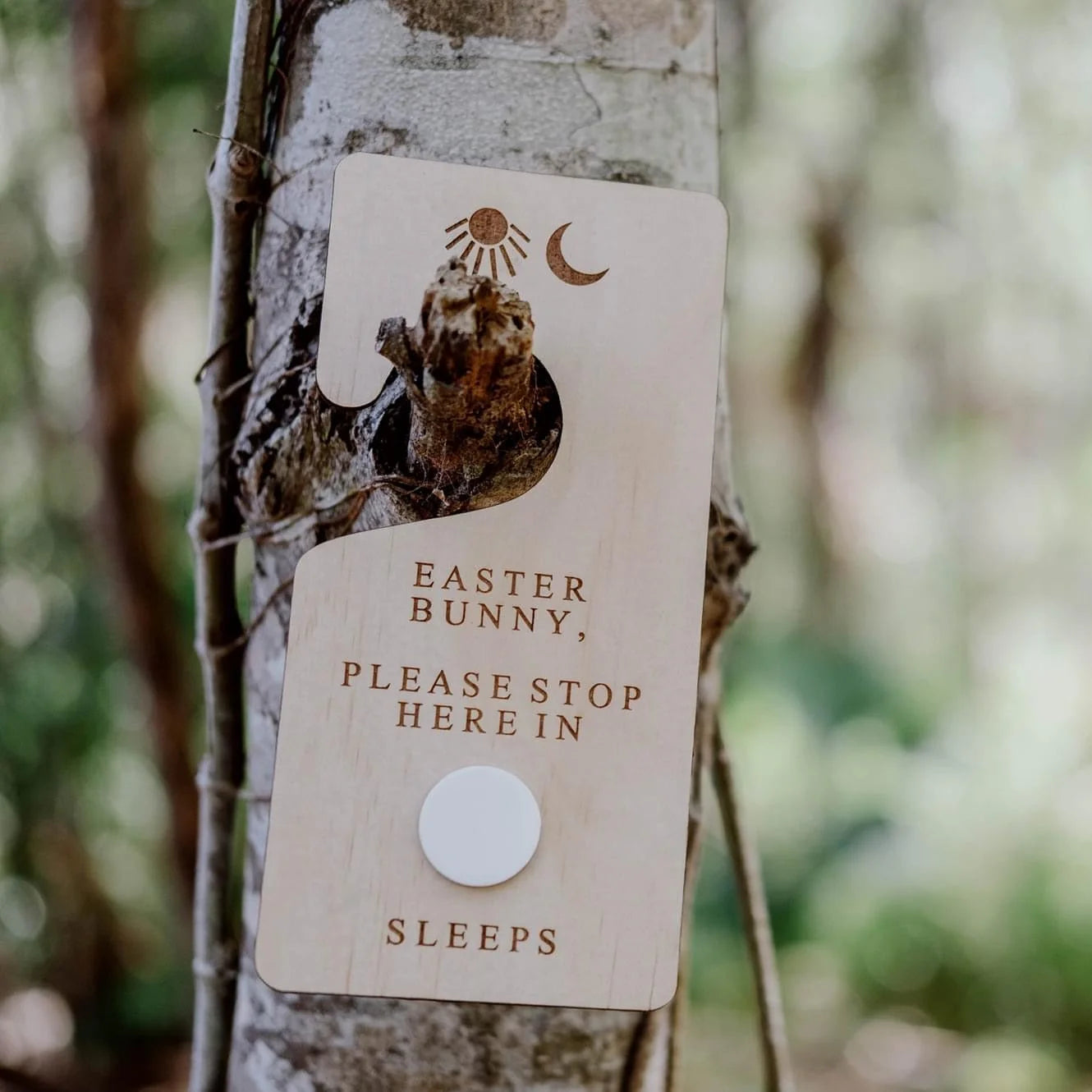 Zilvi Easter Bunny Countdown Door Hanger