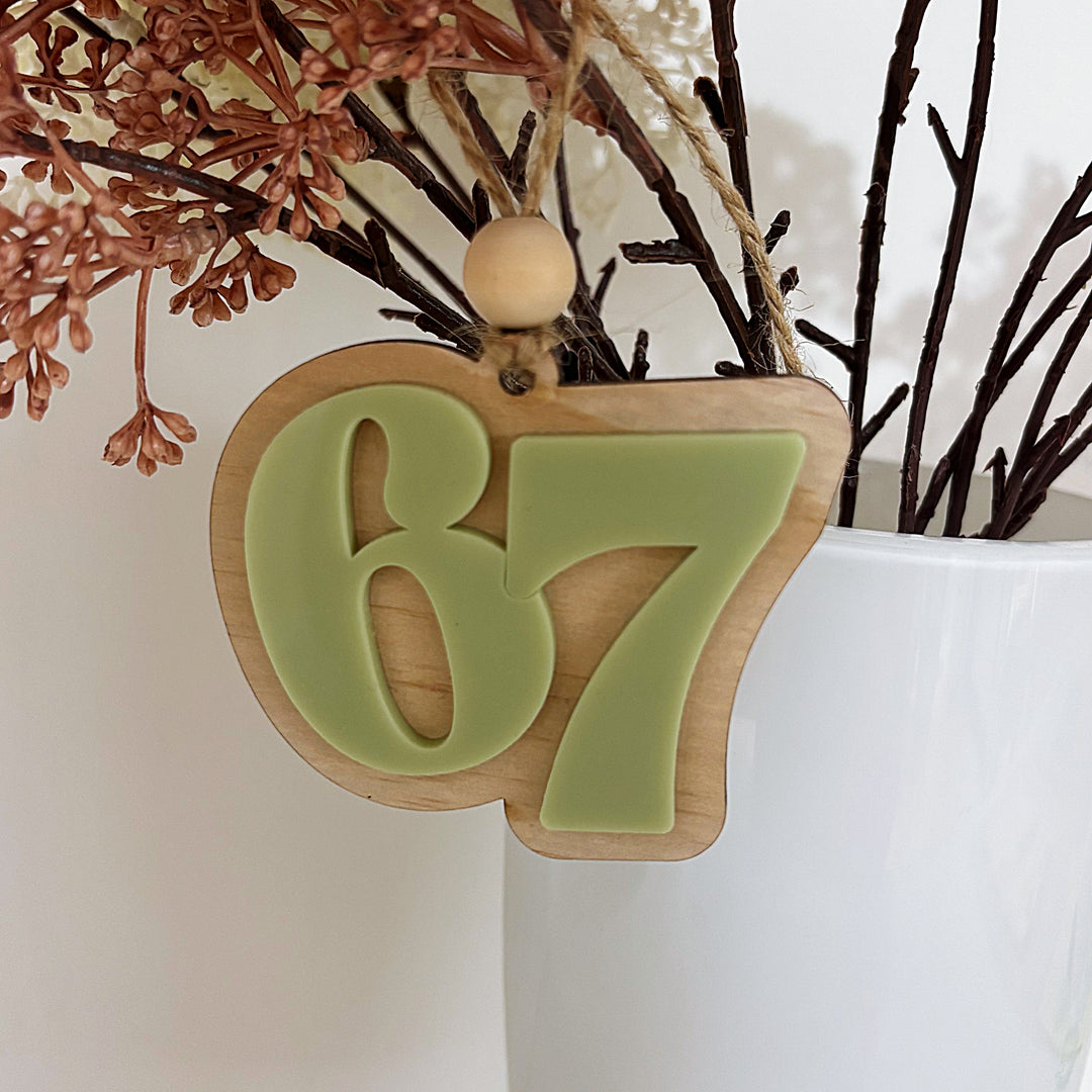 67 Ornament