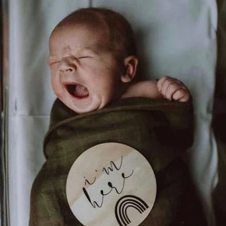 Zilvi Earth Timber Milestones [Set of 14]