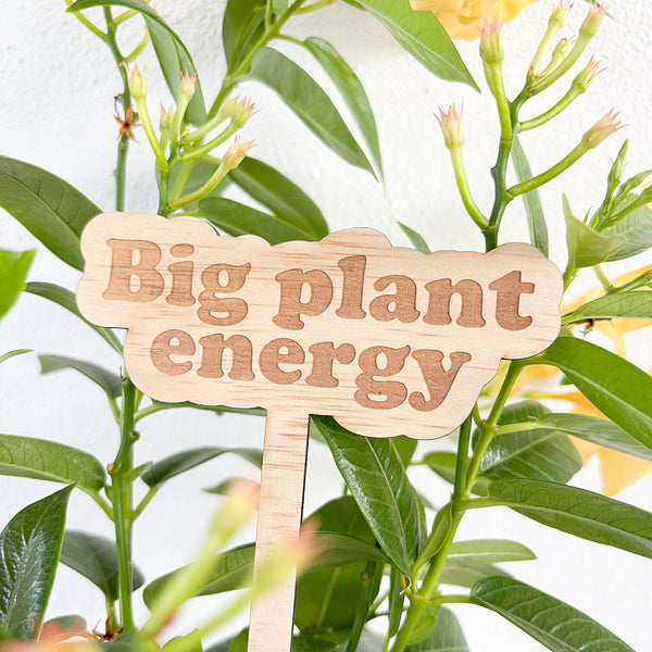 Wooden Garden Stakes - Humor for the Green Thumbs - Mother's Day