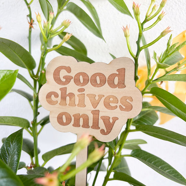 Wooden Garden Stakes - Humor for the Green Thumbs - Mother's Day