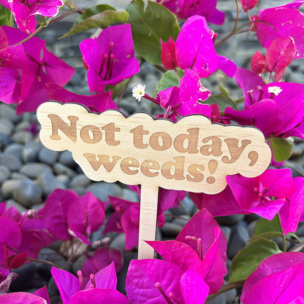 Wooden Garden Stakes - Humor for the Green Thumbs - Mother's Day