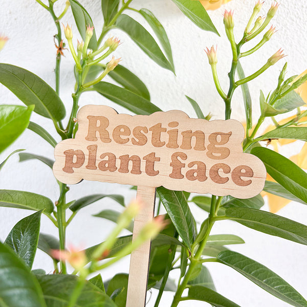 Wooden Garden Stakes - Humor for the Green Thumbs - Mother's Day