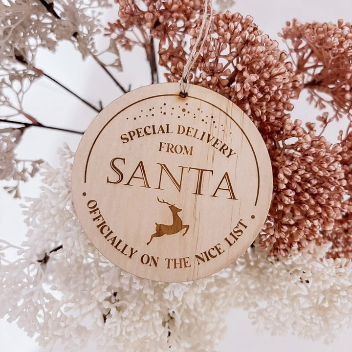 A Visit From Santa Token - ShartrueseBaby Milestones