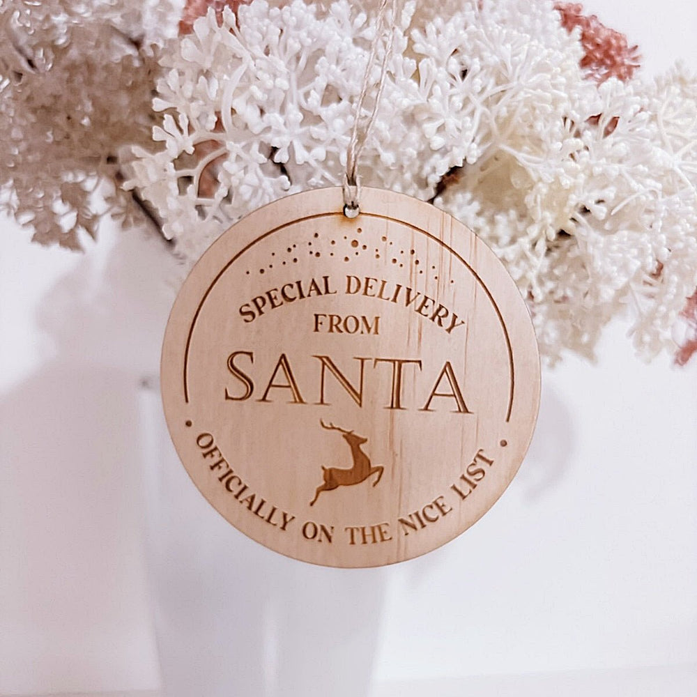 A Visit From Santa Token - ShartrueseBaby Milestones
