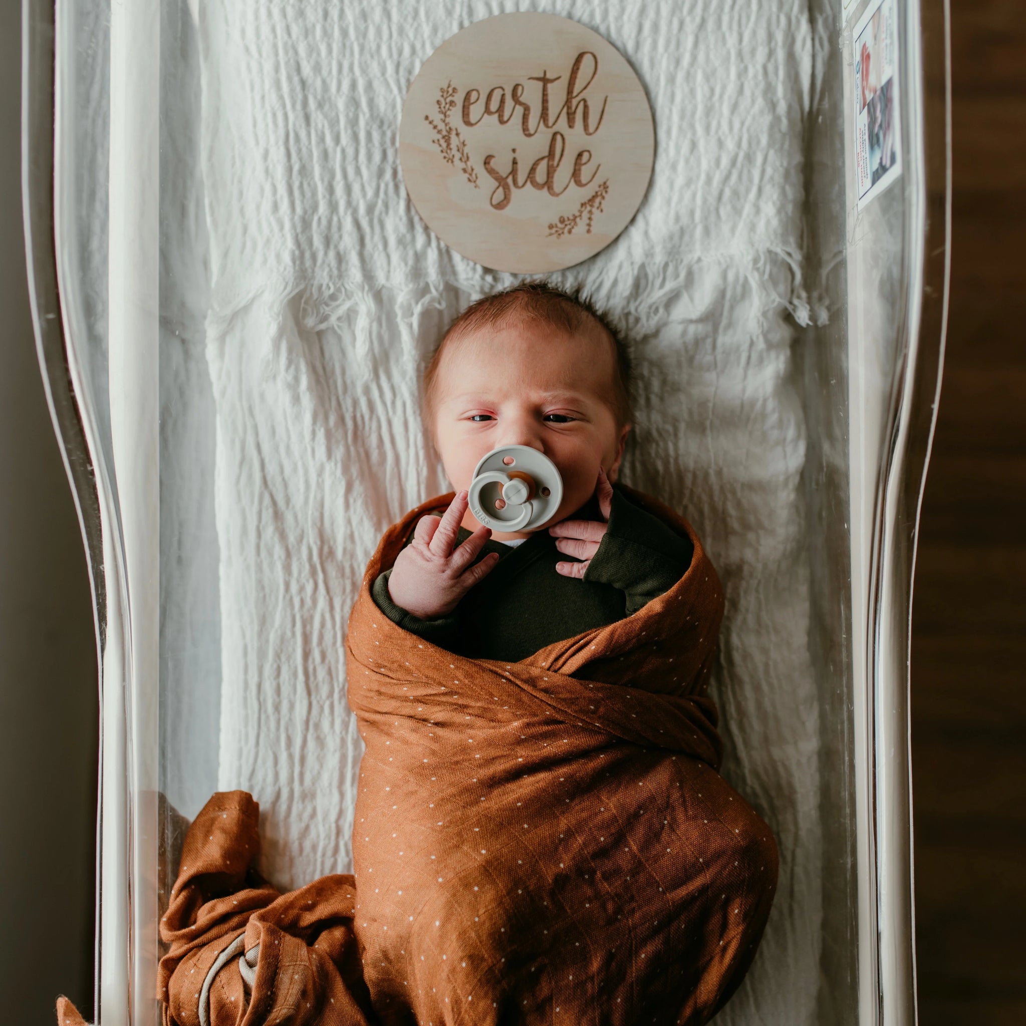 Zilvi Earth Side Announcement Plaque