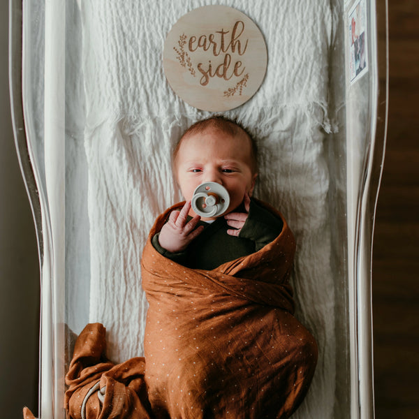 Zilvi Earth Side Announcement Plaque