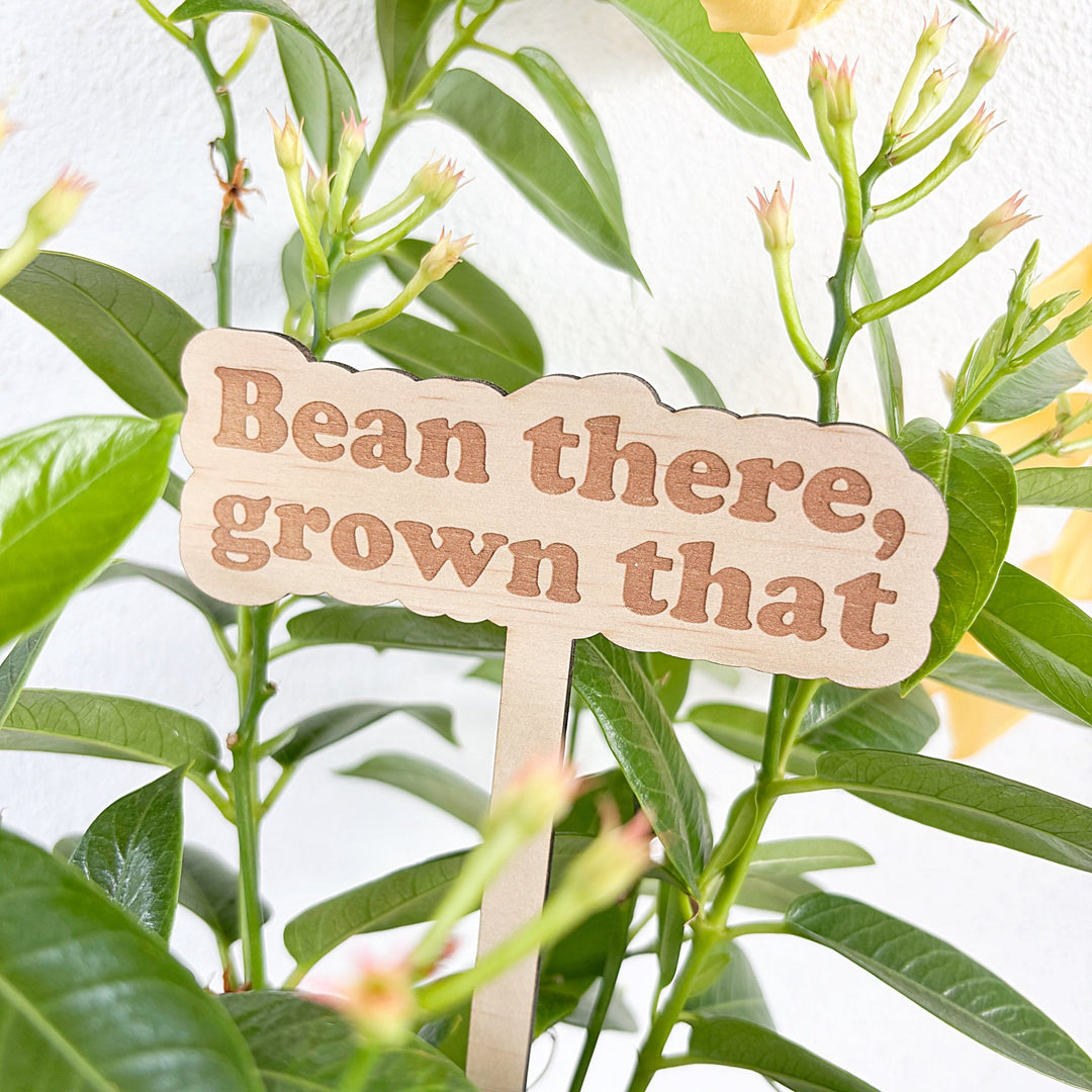 Wooden Garden Stakes | Humor for the Green Thumbs - ShartrueseWooden Garden Stake
