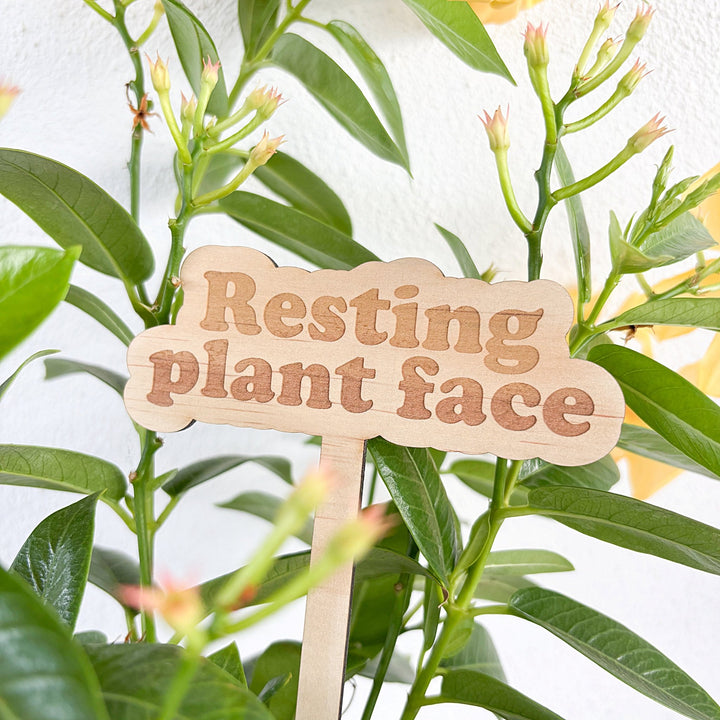 Wooden Garden Stakes | Humor for the Green Thumbs - ShartrueseWooden Garden Stake