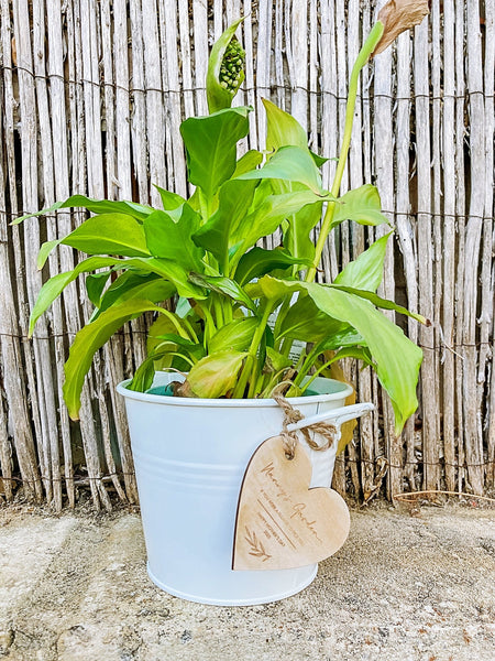 Decorative Buckets for Mum - Shartruese