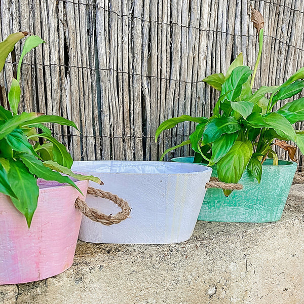 Decorative Washed Wood Planter - Shartruese