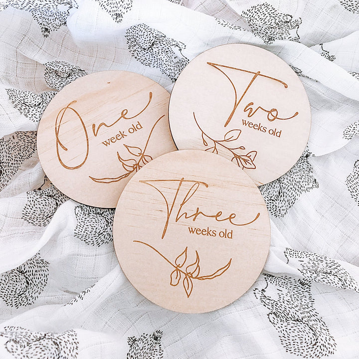 FULL SET Delicate Milestone Disc Set - 17 Discs - Shartruese
