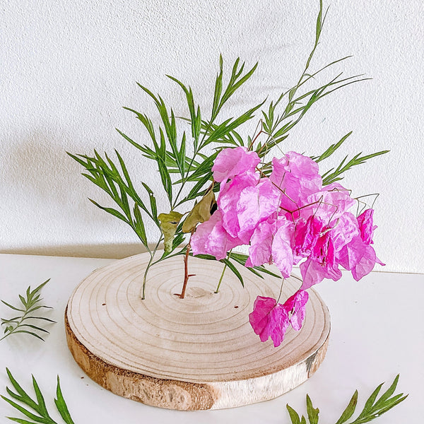 Paulownia Flower Stand - Shartruese